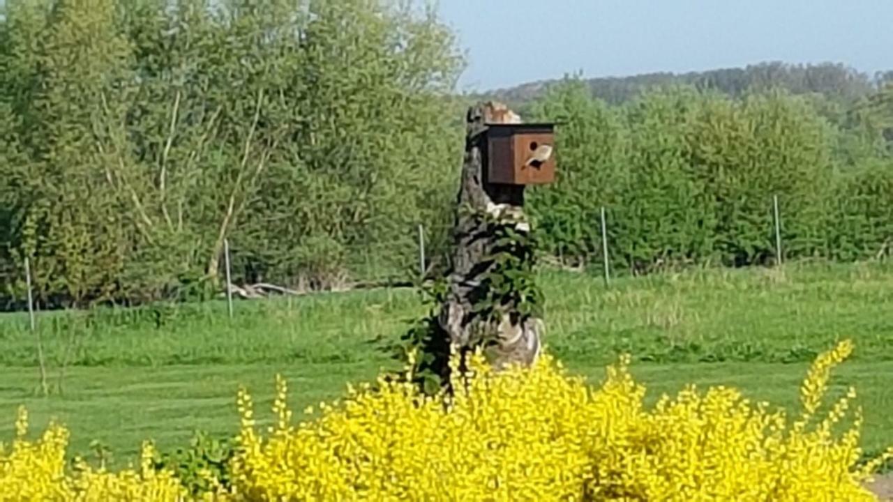 Ferienwohnung Am Grün Zweedorf Exterior foto